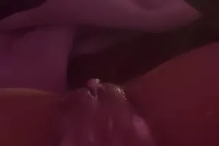 honeybee🐝🍯🍯🍯 - 22 - Image 4