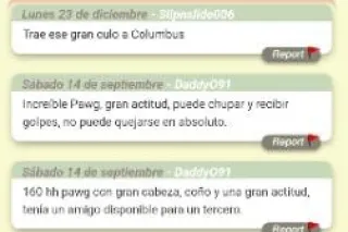 springdale area - Image 8